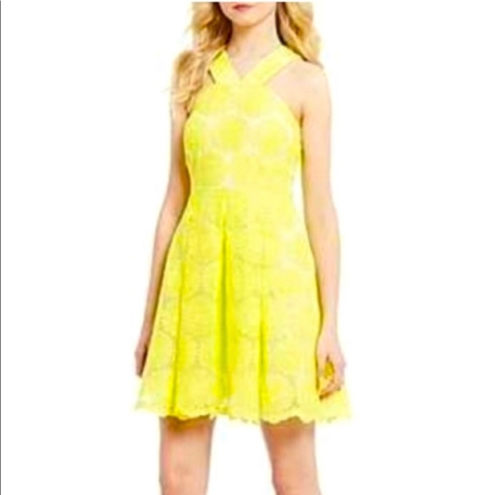 Cremieux Cremiuex Bright Yellow Embroidered Daisy